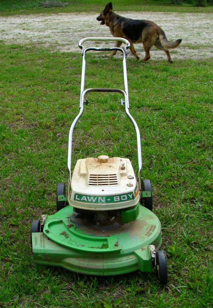 1970 lawn boy online mower